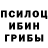 Псилоцибиновые грибы Psilocybe Marx Mann