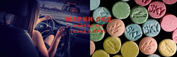 хмурый Алексин