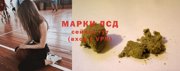 хмурый Алексин