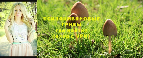 амфетамин Алексеевка