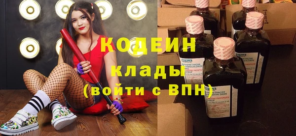 хмурый Алексин