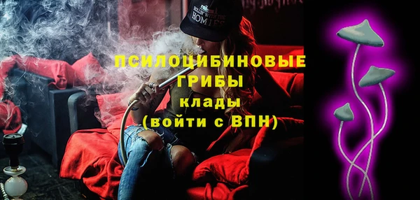 хмурый Алексин
