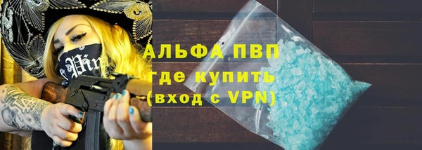 хмурый Алексин