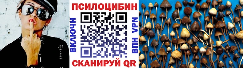 Псилоцибиновые грибы мицелий  Ветлуга 